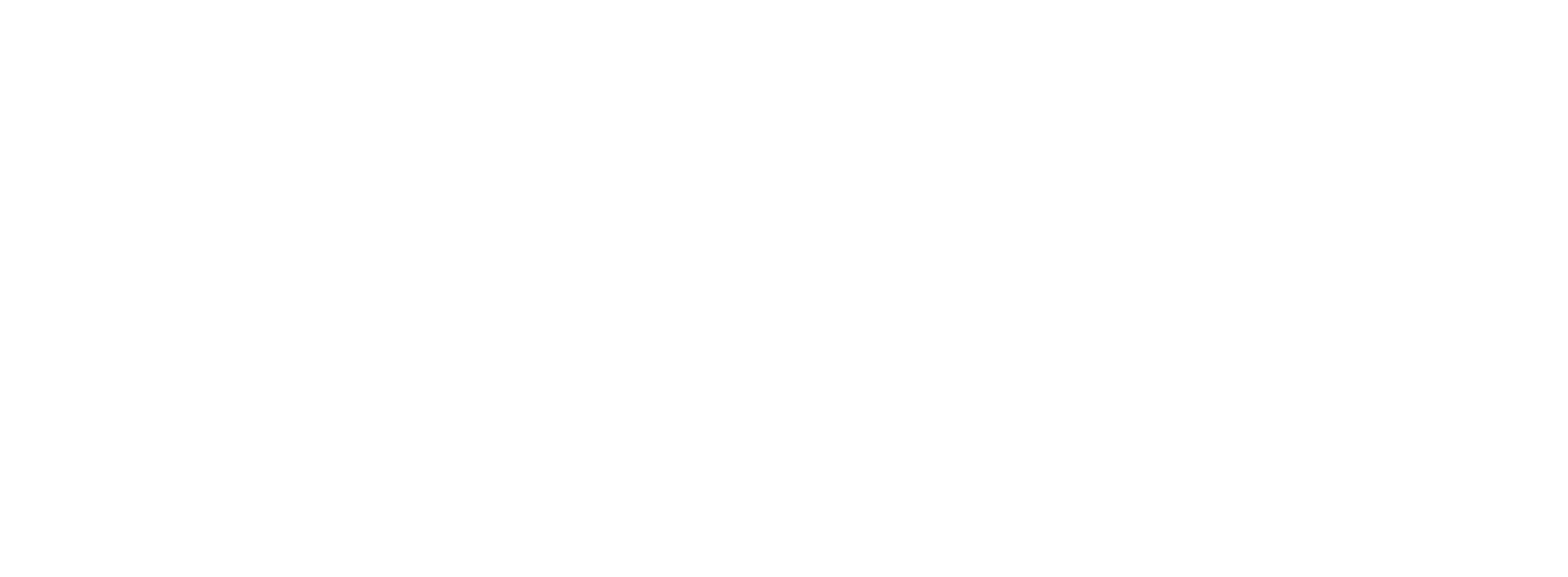 Funded in part by the City of Houston through the Houston Arts Alliance