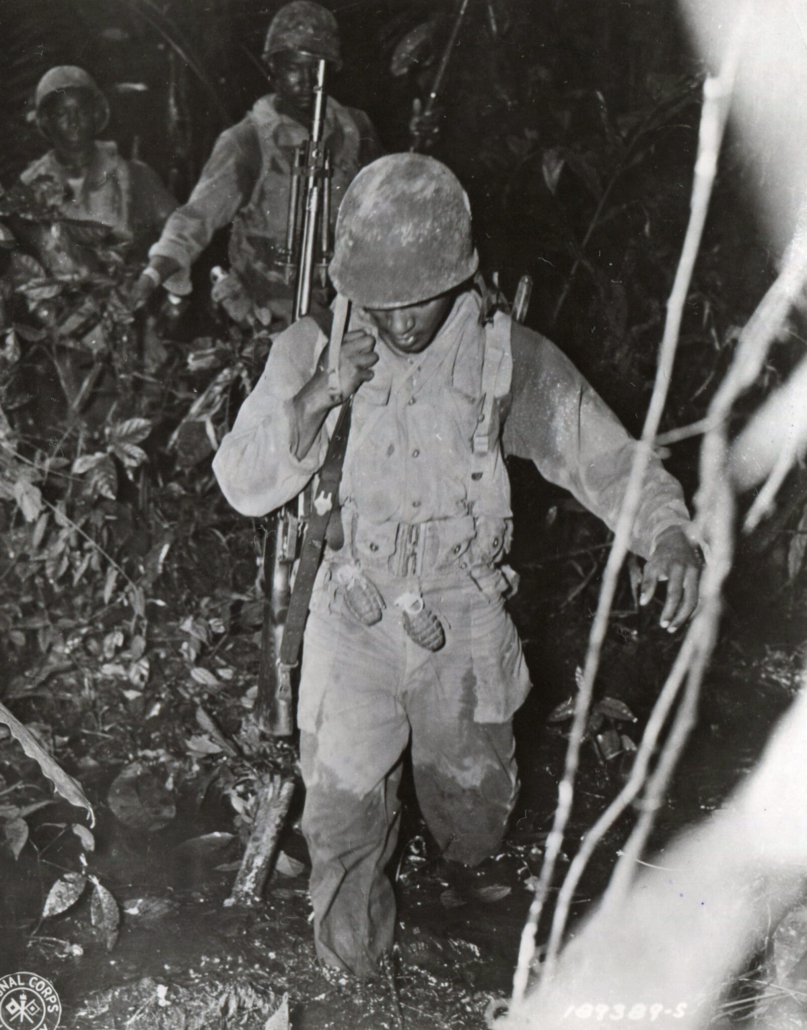 Blue Helmets: The 93rd Infantry Division and its early service in the ...