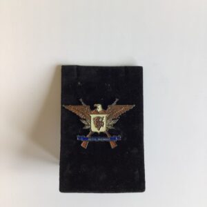 367th Regiment Pin