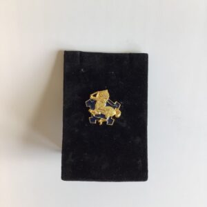 9th Calvary Pin