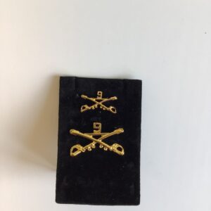 9th Cross Sabers Pin
